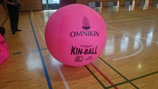 キンボールスポーツ体験会
